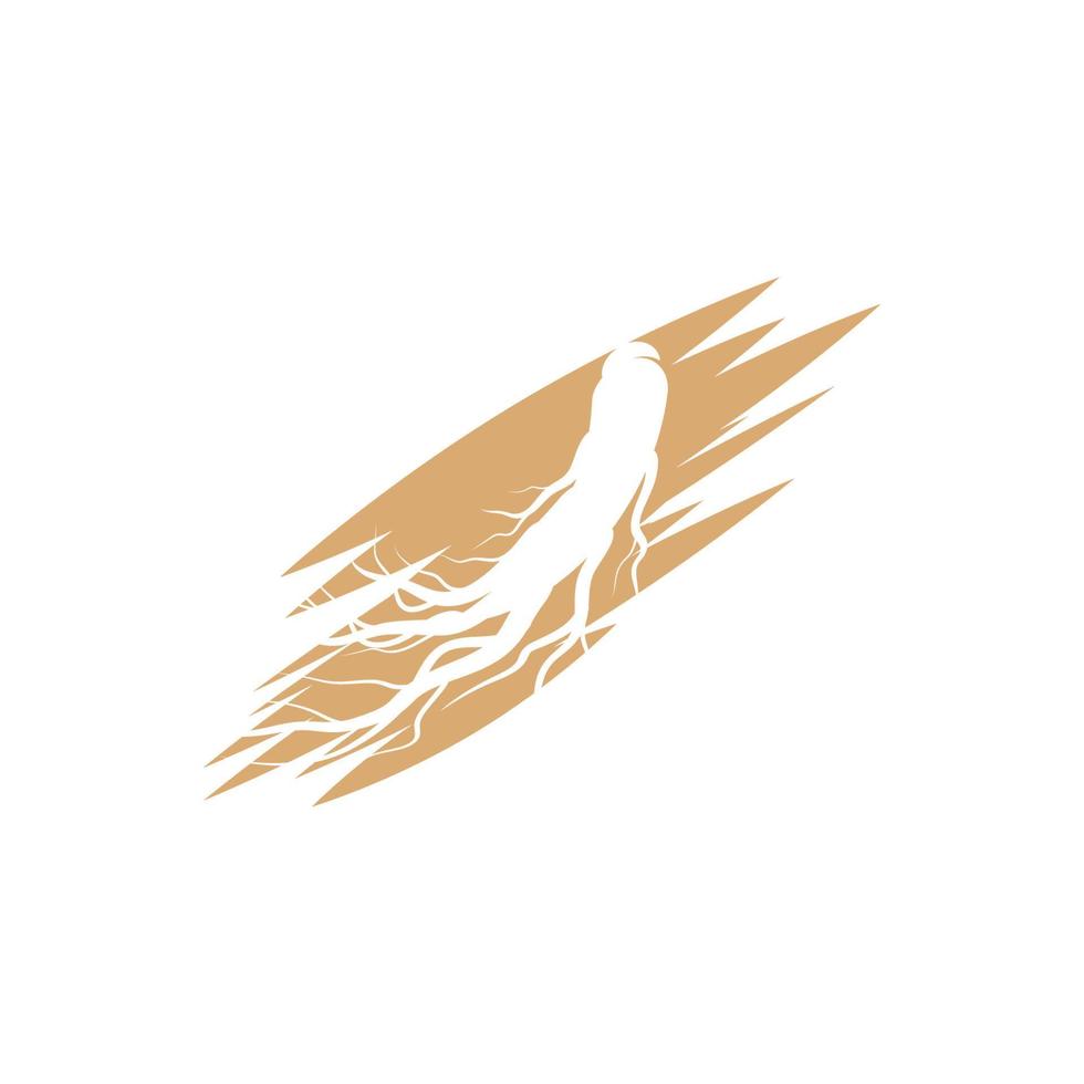 Ginseng vector icon illustration