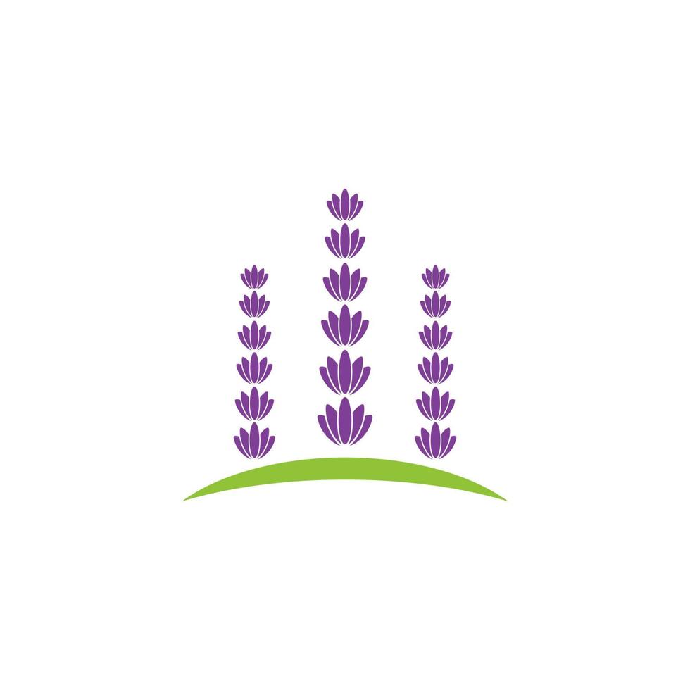 ilustración de icono de vector de flor de lavanda