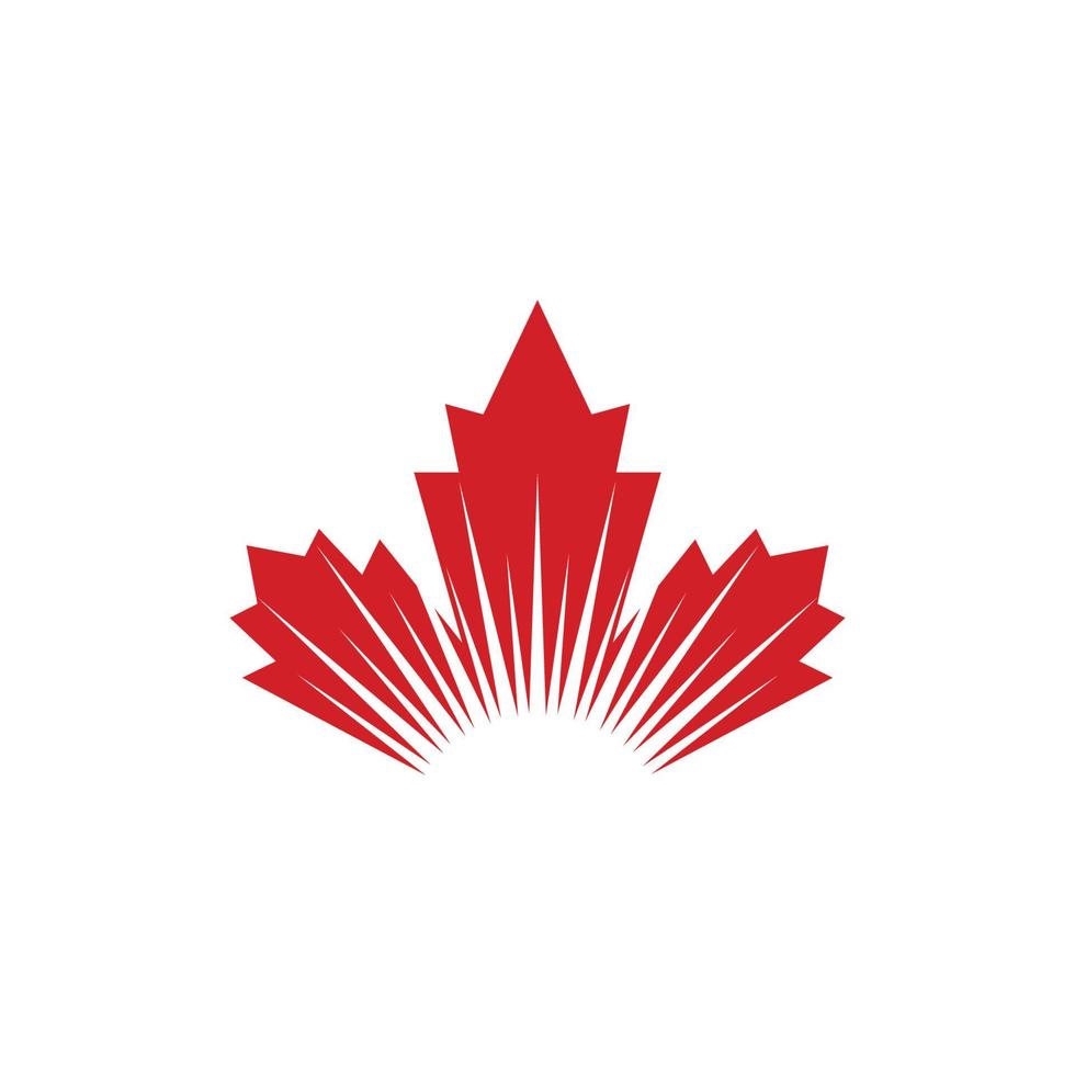 Maple leaf vector illustration