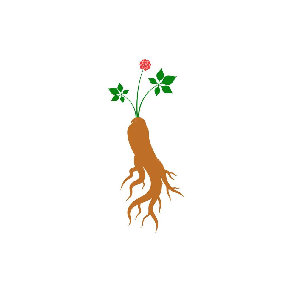 ilustración de icono de vector de ginseng