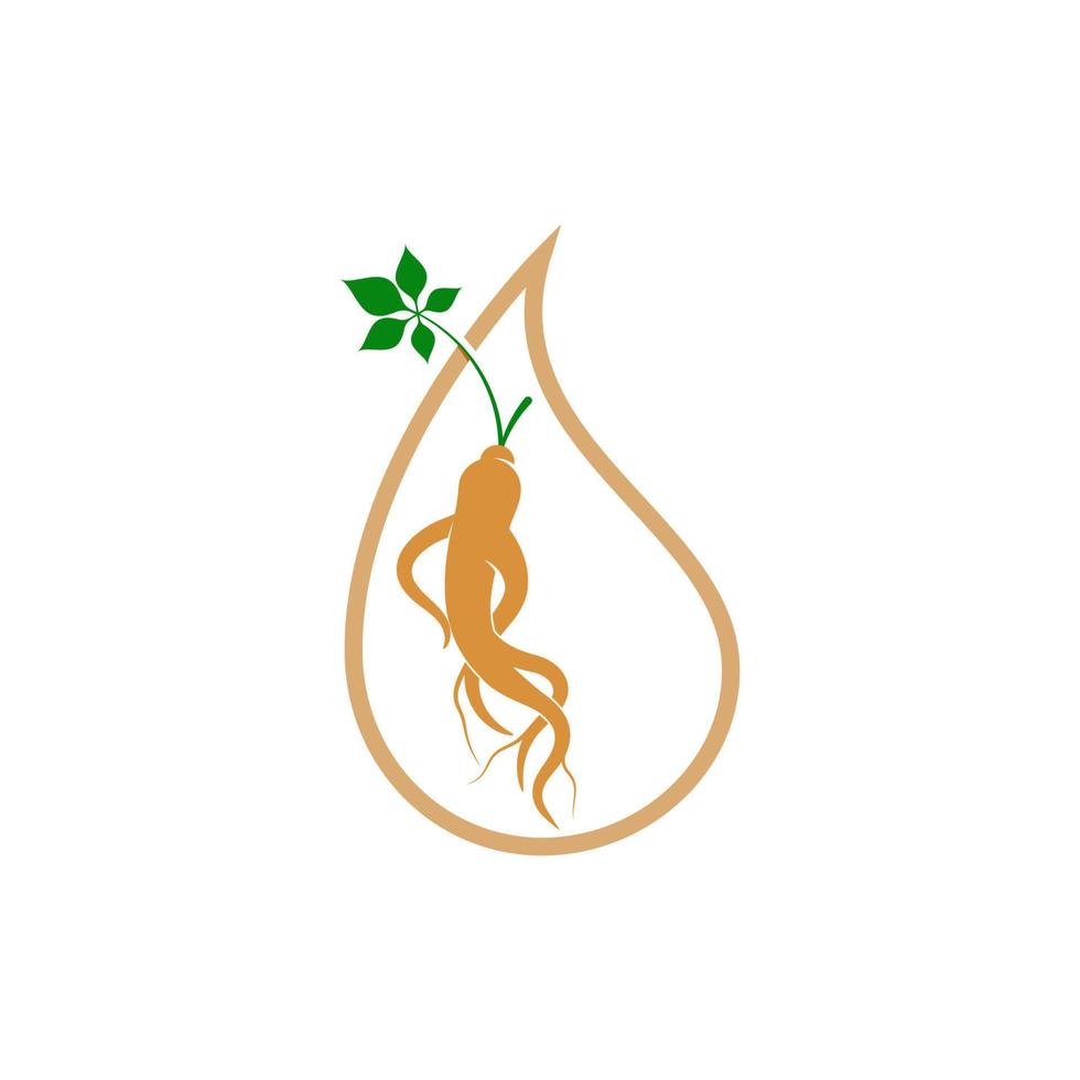 ilustración de icono de vector de ginseng