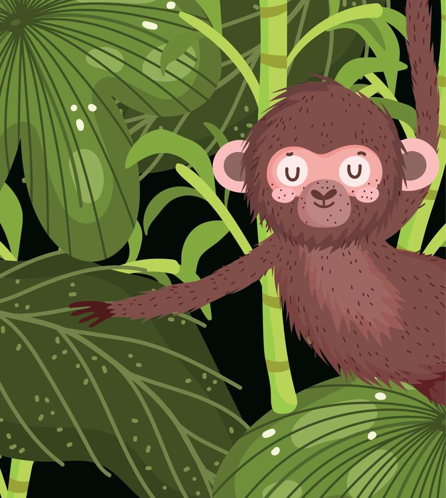 cute monkey hanging jungle leaves animal safari cartoon vector