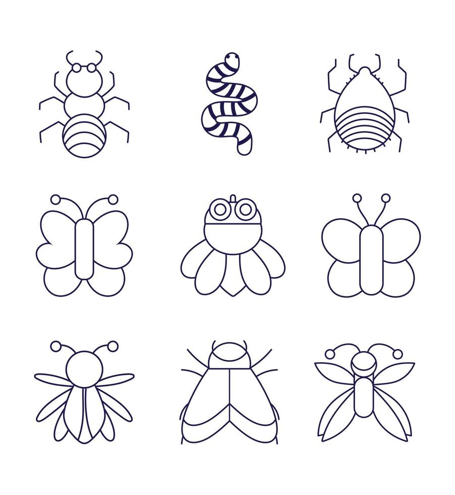 collection bugs natural animal cartoon in linear style vector