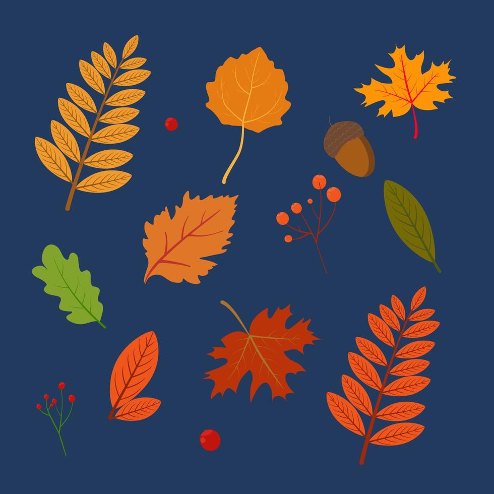 Different Autumn leaves set vector
