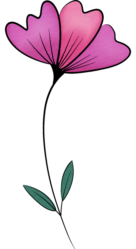 Aquarellblume png