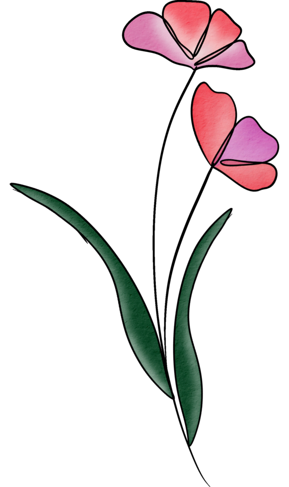 water color flower png