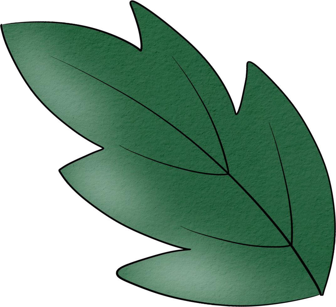 water colour leaf png