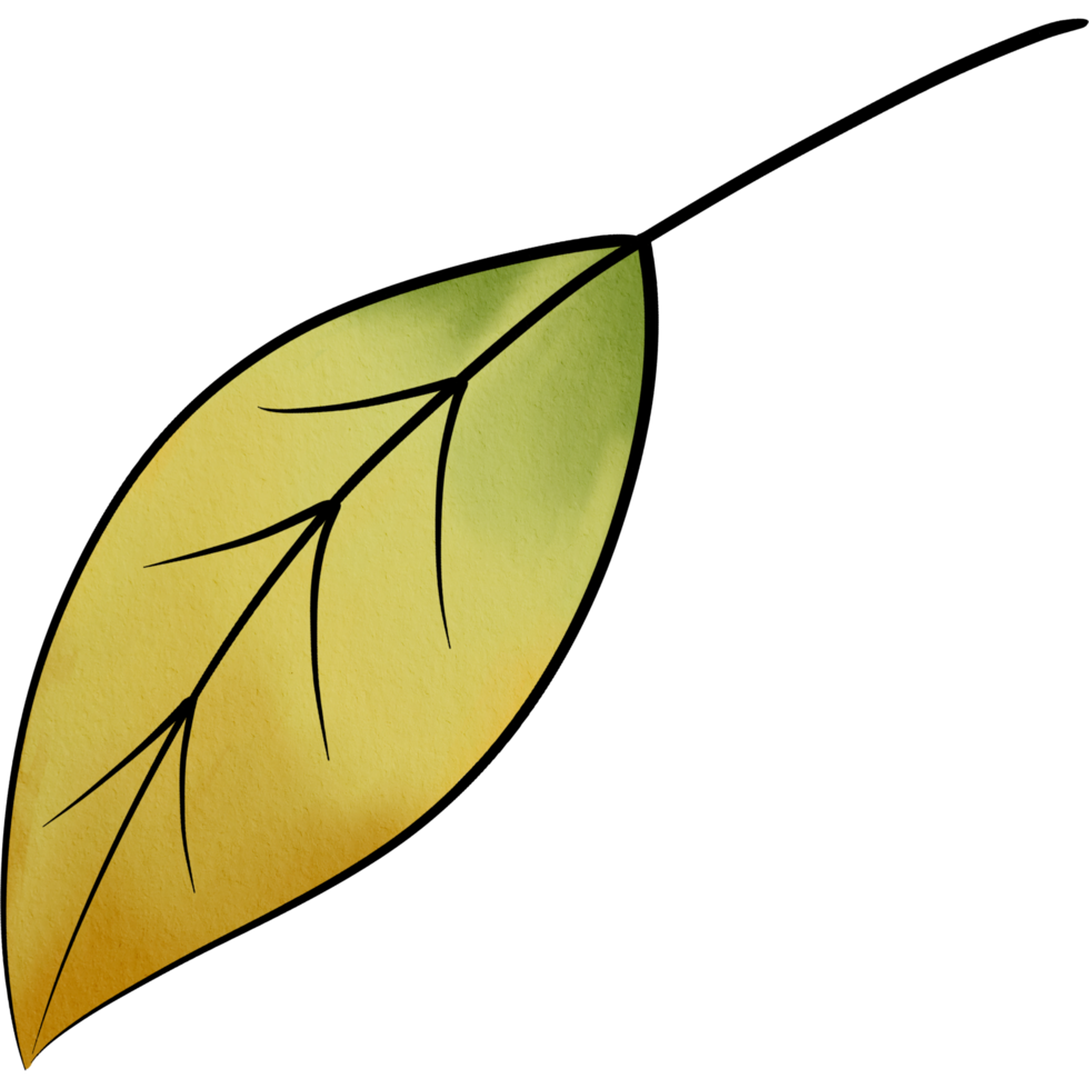 water colour leaf png
