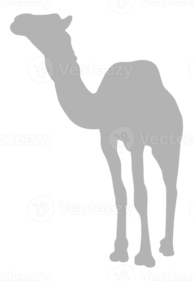 Camel Silhouette for Logo, Pictogram, Website, Apps, Art Illustration or Graphic Design Element. Format PNG