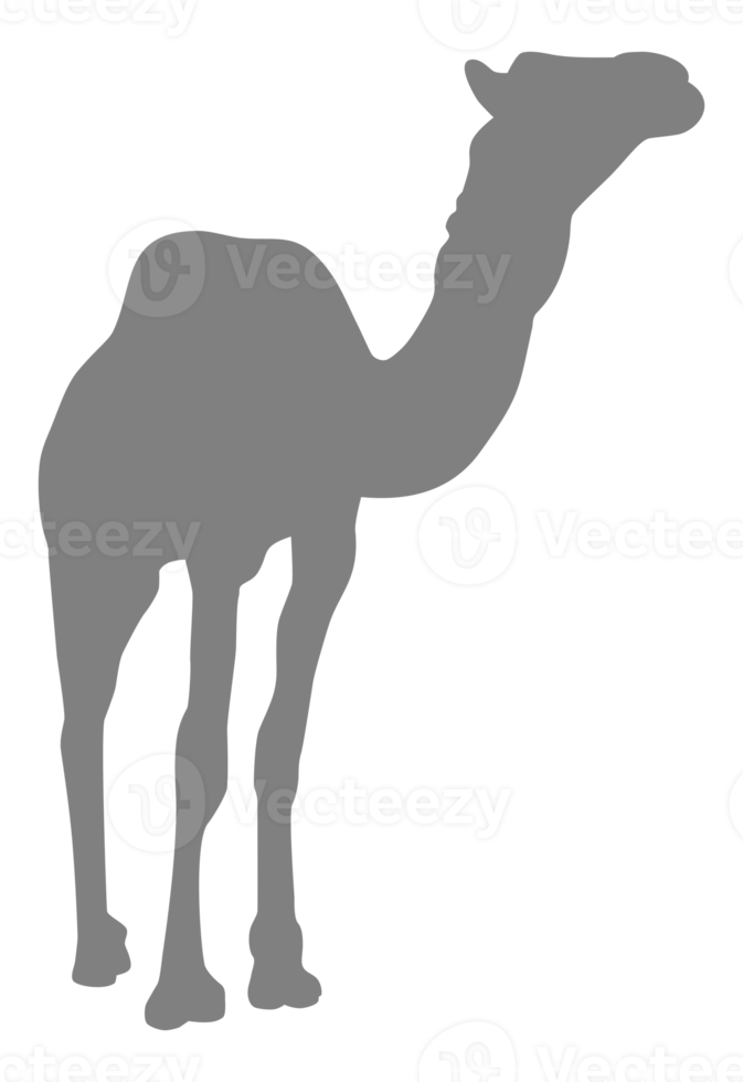 Camel Silhouette for Logo, Pictogram, Website, Apps, Art Illustration or Graphic Design Element. Format PNG