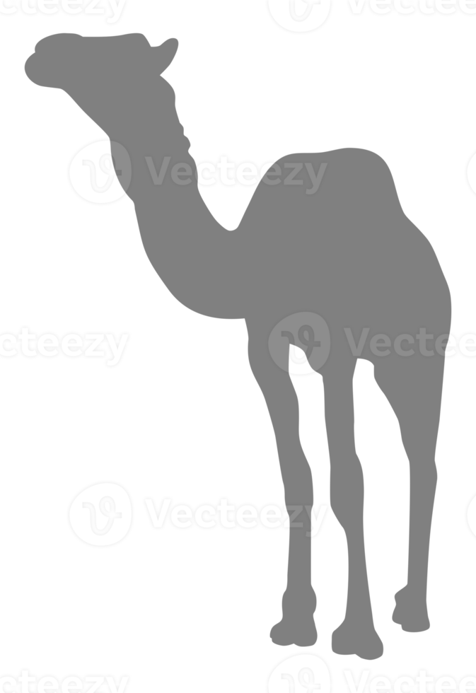 silhueta de camelo para logotipo, pictograma, site, aplicativos, ilustração de arte ou elemento de design gráfico. formato png