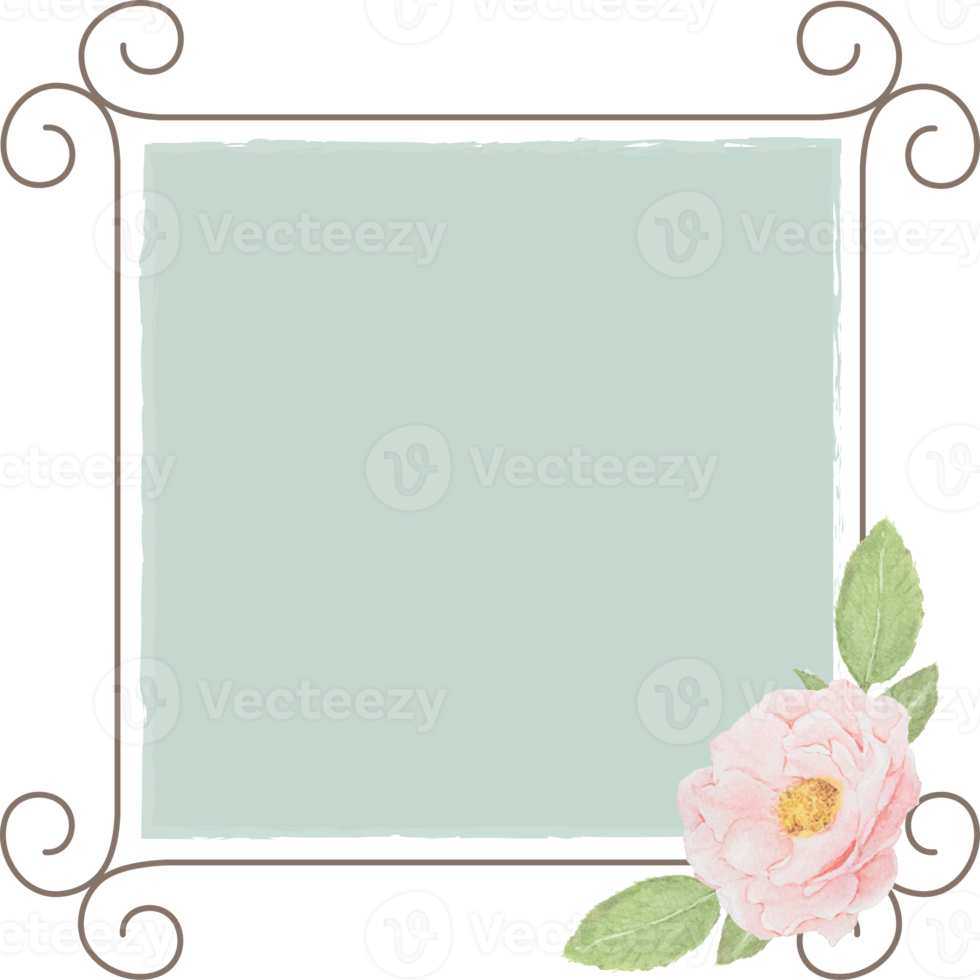 beautiful pink English roses flower bouquet on flourishing frame png