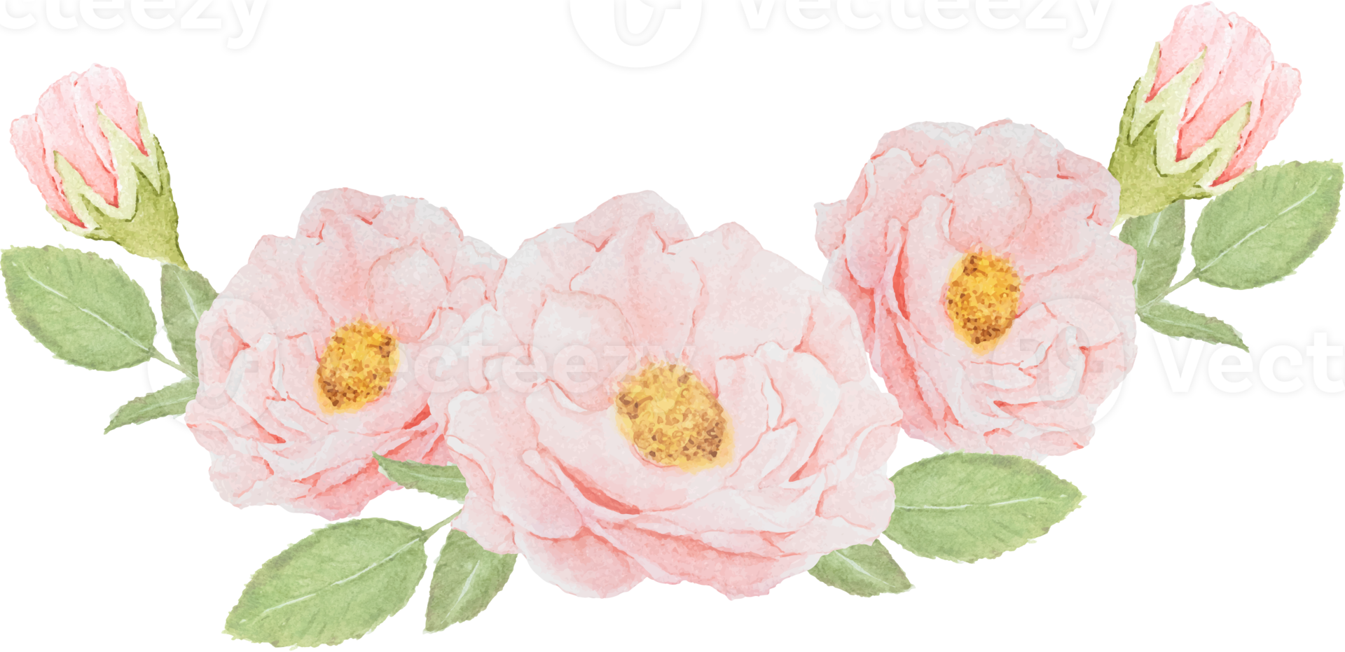 watercolor pink rose flower bouquet png