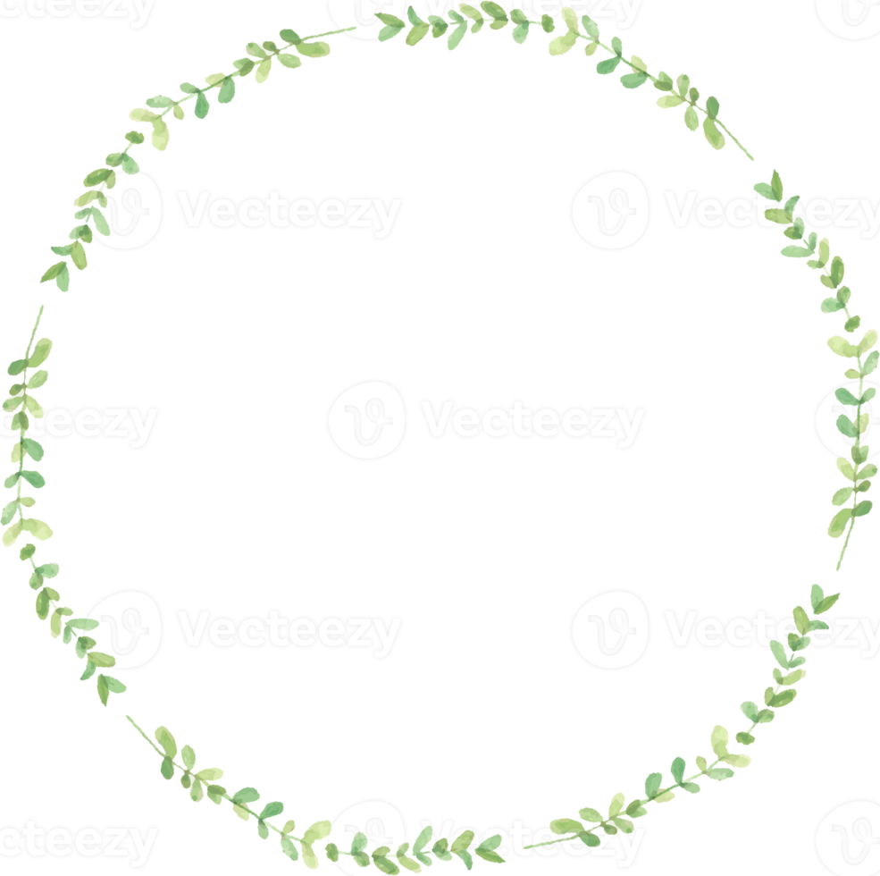 akvarell grön eukalyptus lämnar cirkel krans ram png