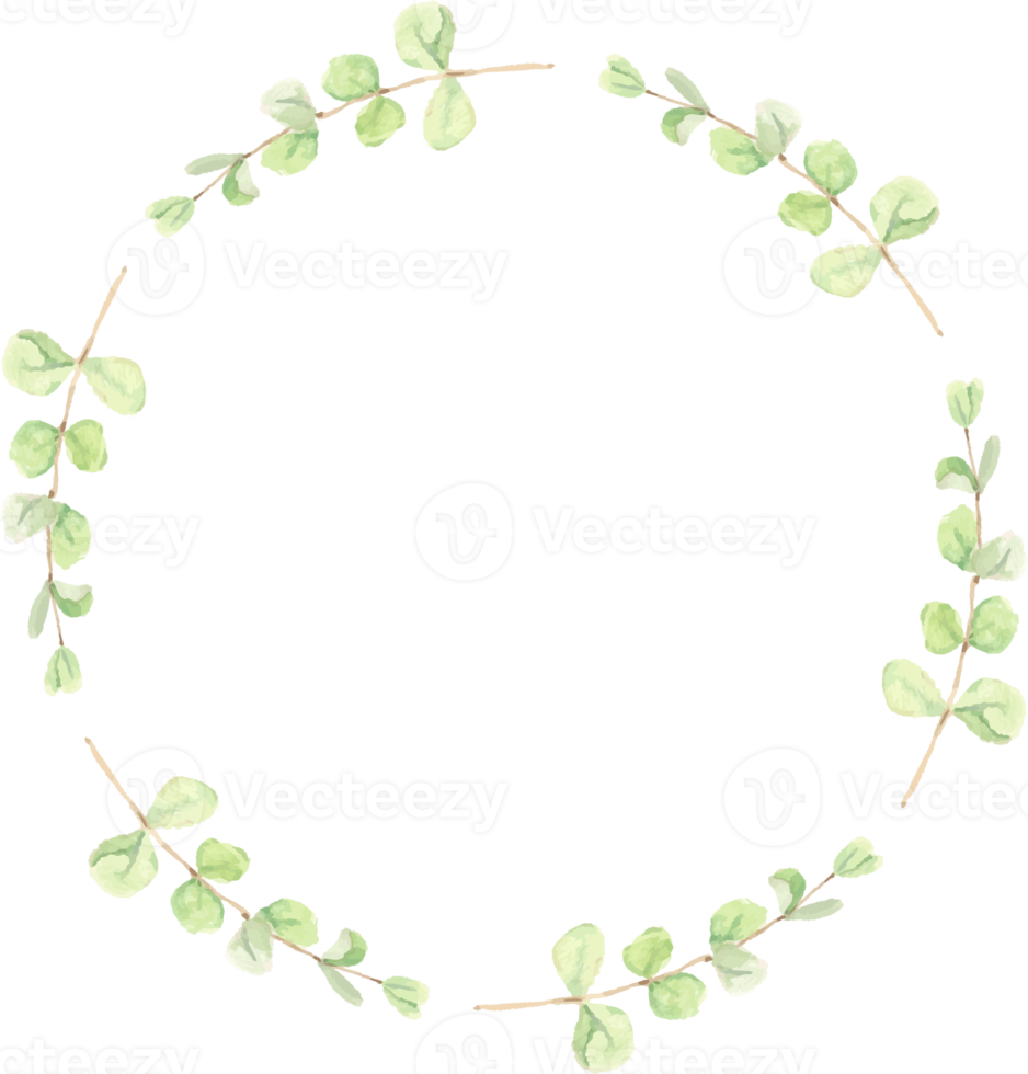 watercolor green eucalyptus leaves circle wreath frame png