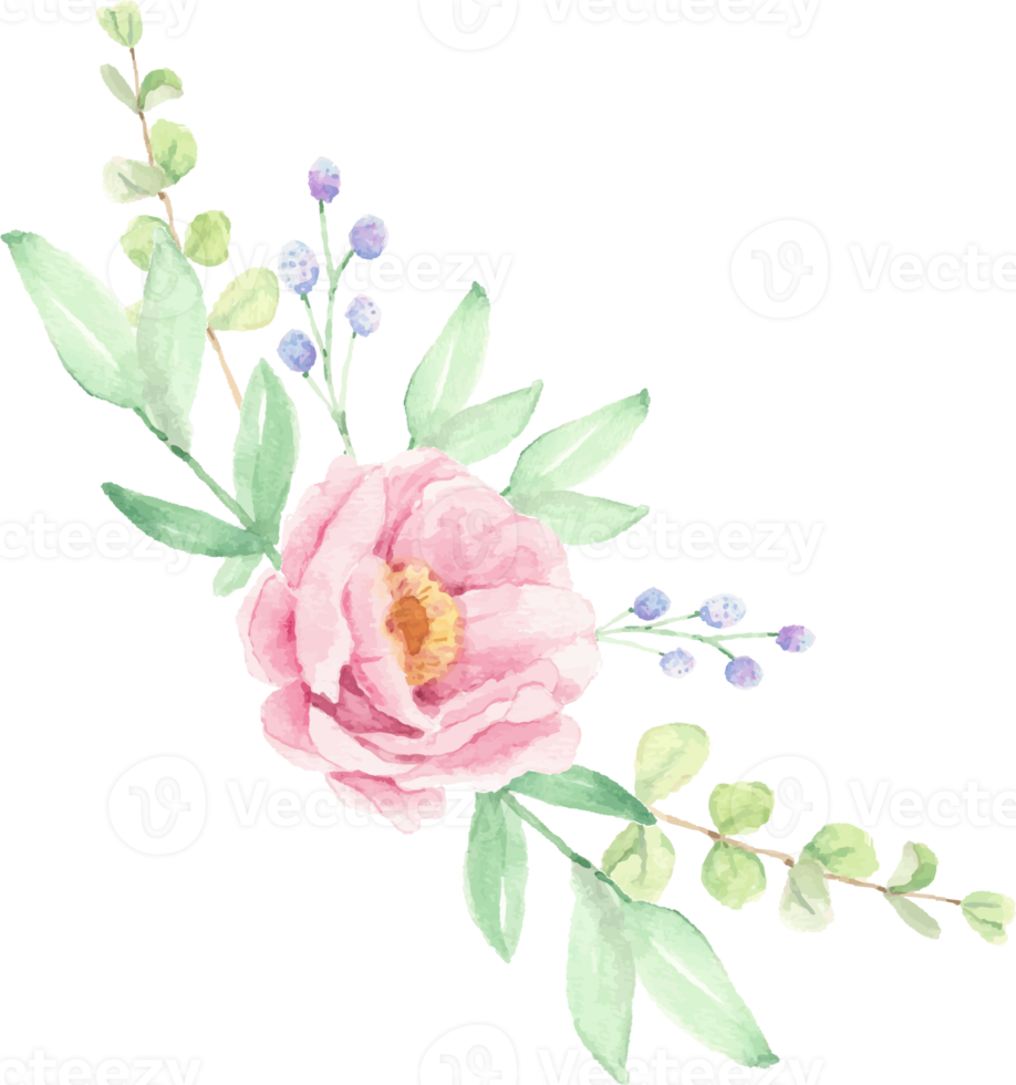 watercolor pink peony flower bouquet arrangement wreath frame png