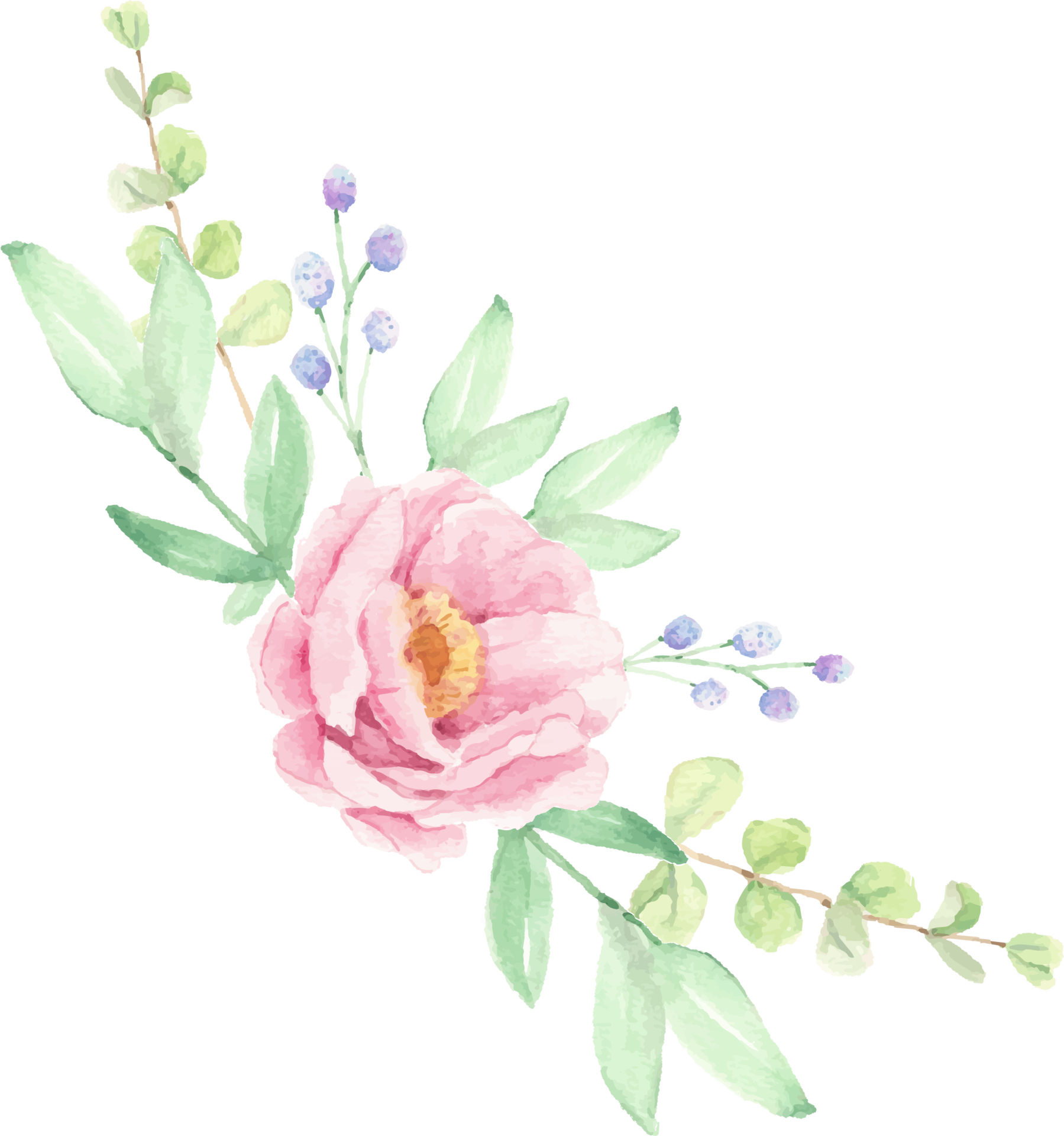 watercolor pink peony flower bouquet arrangement wreath frame 13641538 PNG