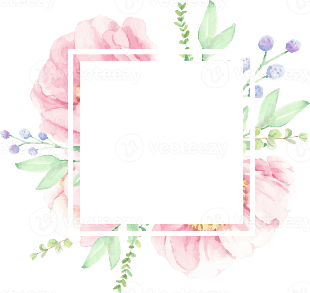 vattenfärg rosa pion blomma bukett arrangemang krans ram png