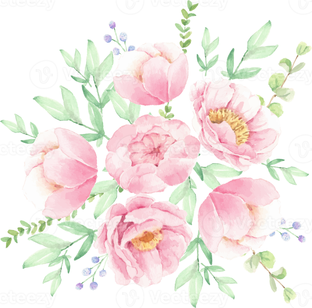 watercolor pink peony flower bouquet arrangement png