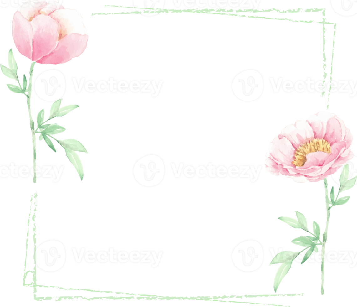 watercolor pink peony flower and green leaves elements minimal frame png