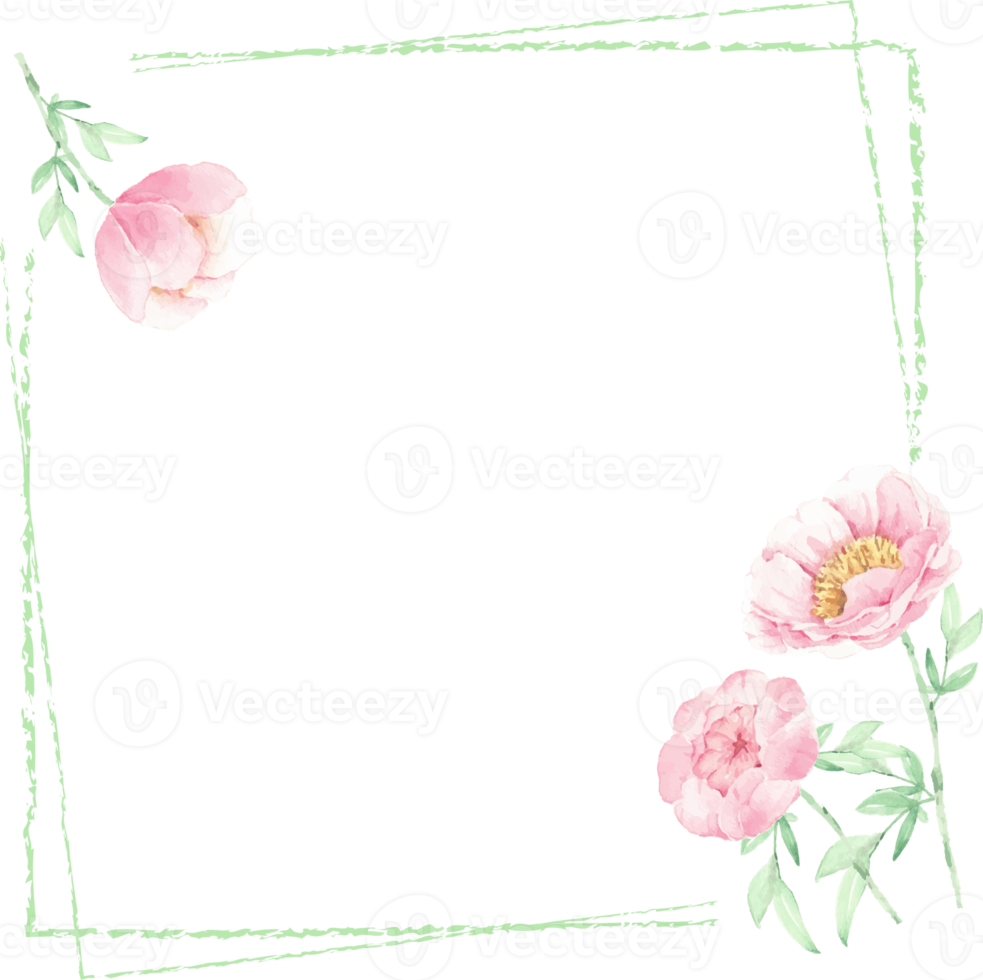 watercolor pink peony flower and green leaves elements minimal frame png