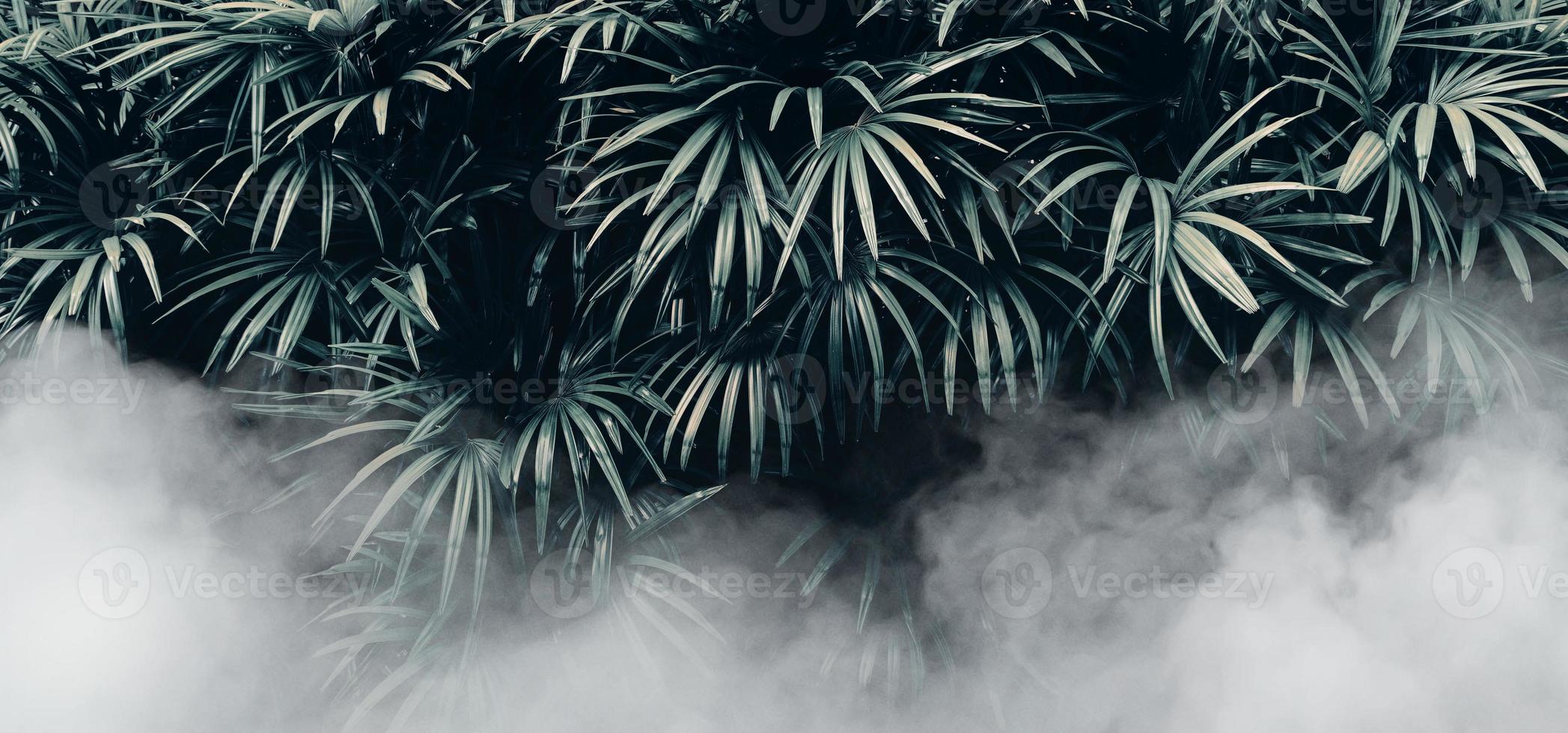 Vertical garden with tropical green leaf with fog and rain, Dark tone photo