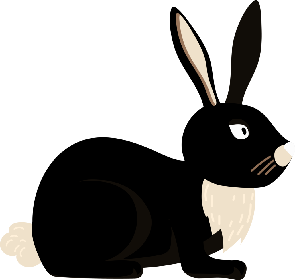 The black rabbit lies. png