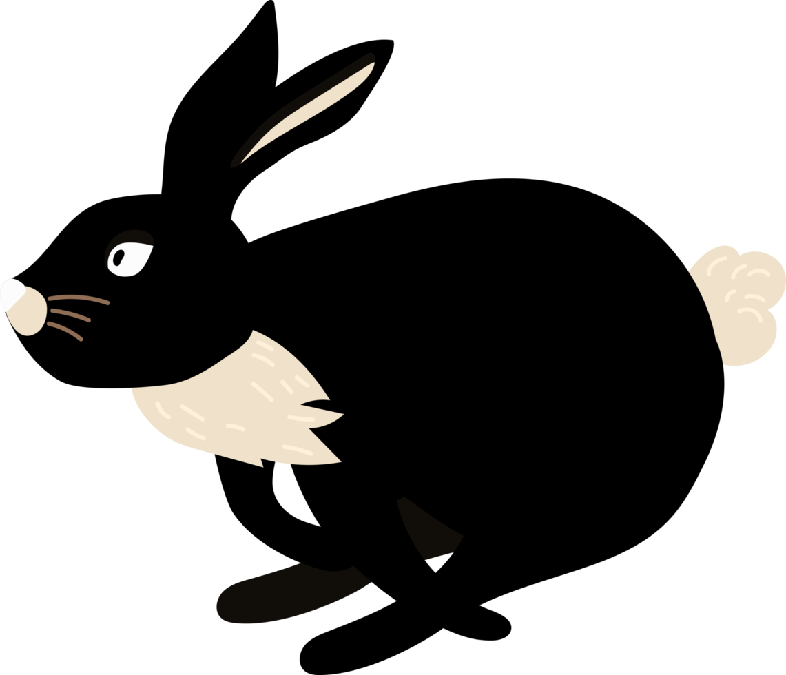 The black rabbit is running.. png