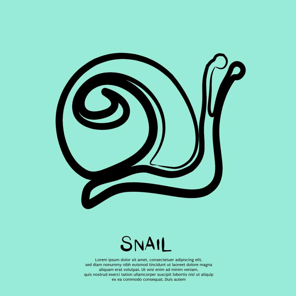 Simple line drawing of a snail. Vector illustration