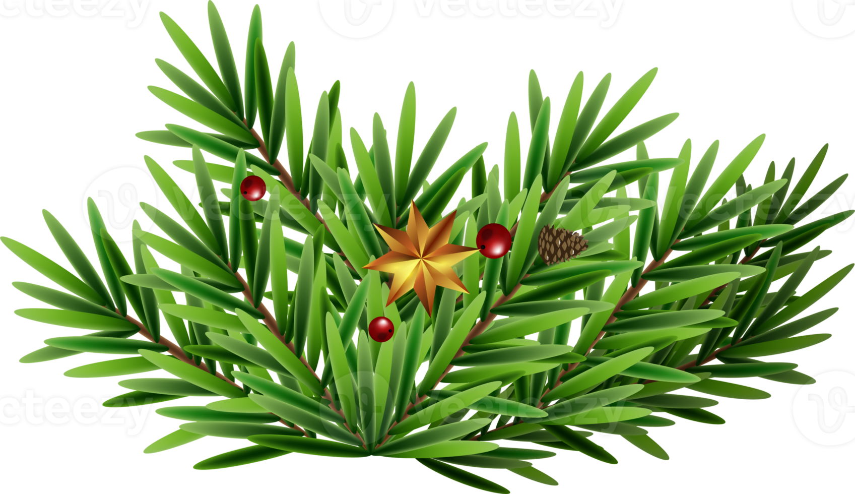 Green Christmas Fir Branch png
