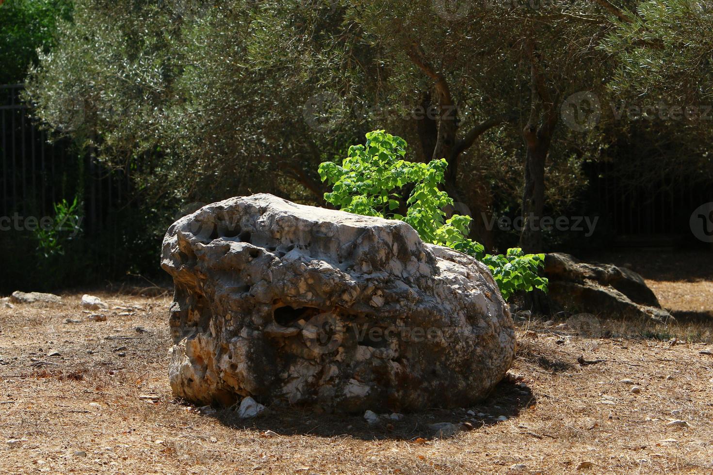 Stones in a city park by the sea in northern Israel photo