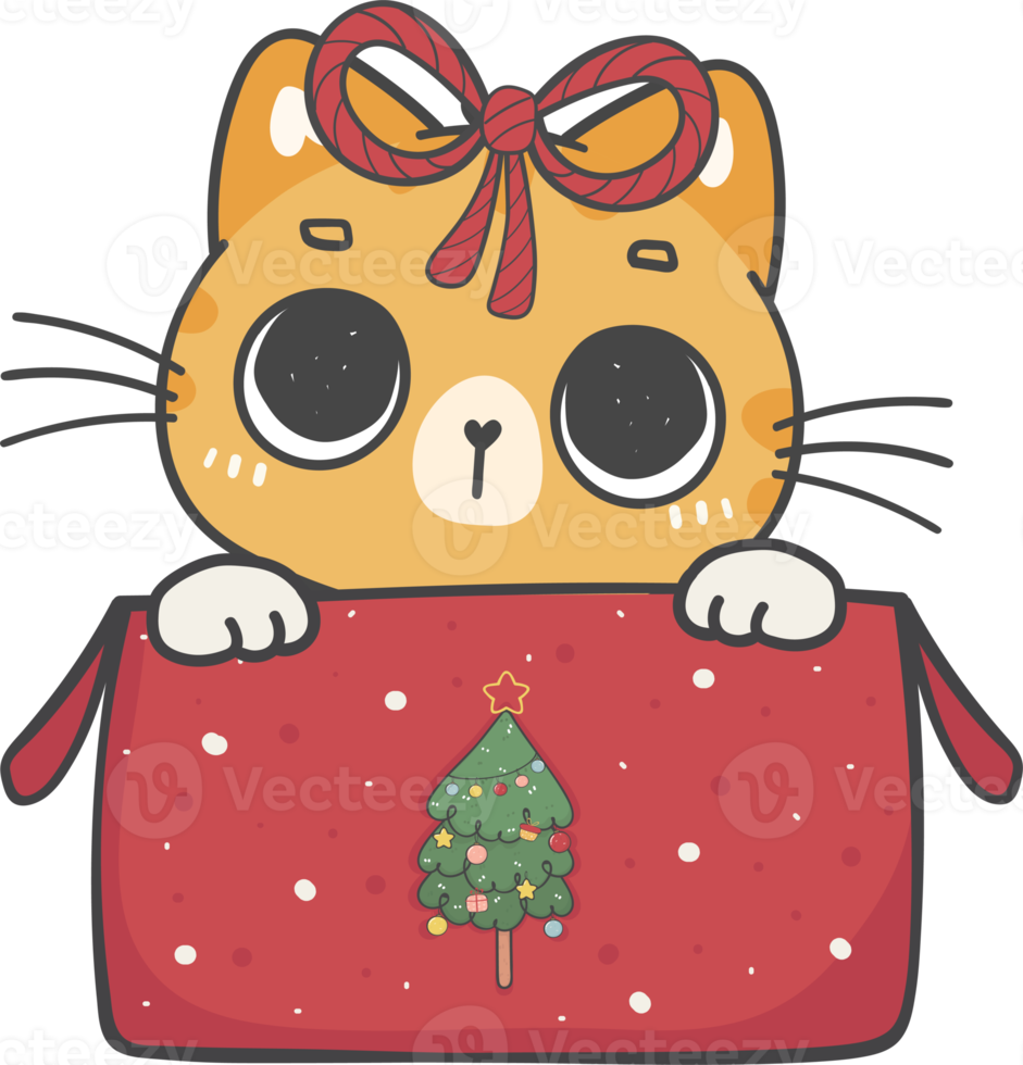 Free lindo gatito travieso de navidad razas de gatos con caja de regalo  dibujo a mano alzada de dibujos animados 13643577 PNG with Transparent  Background