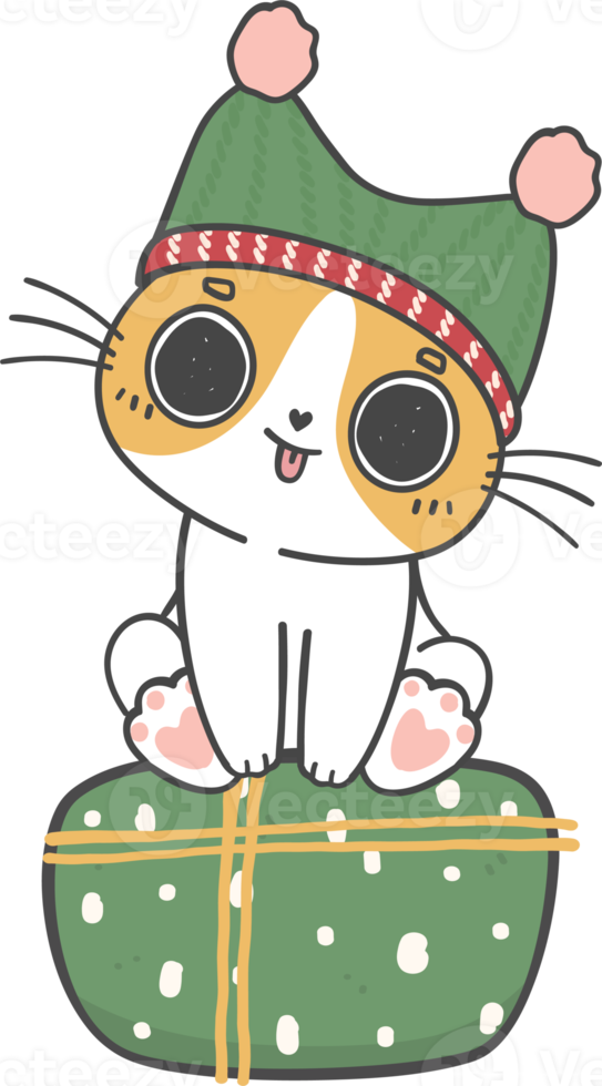 cute Christmas naughty kitten cat breeds with gift present box cartoon doodle hand drawing png