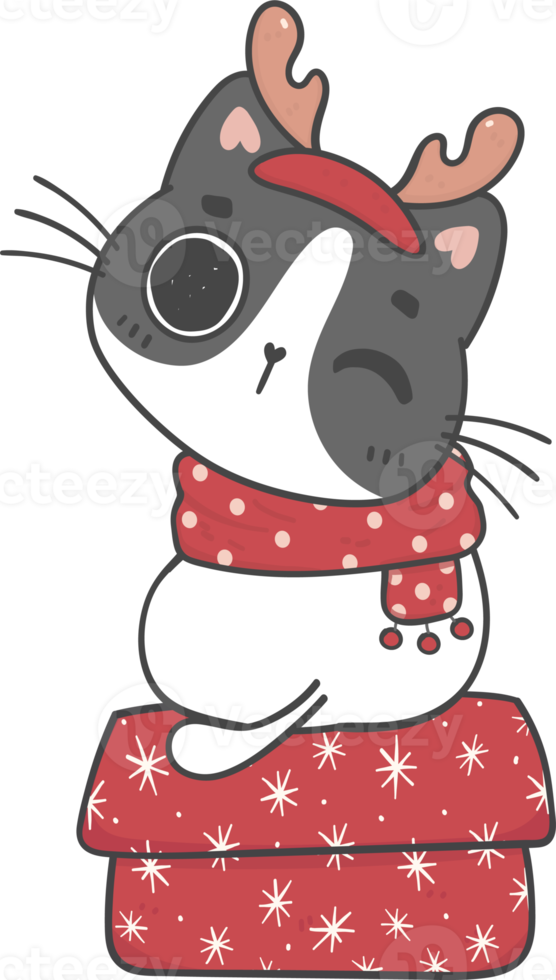 cute Christmas naughty kitten cat breeds with gift present box cartoon doodle hand drawing png