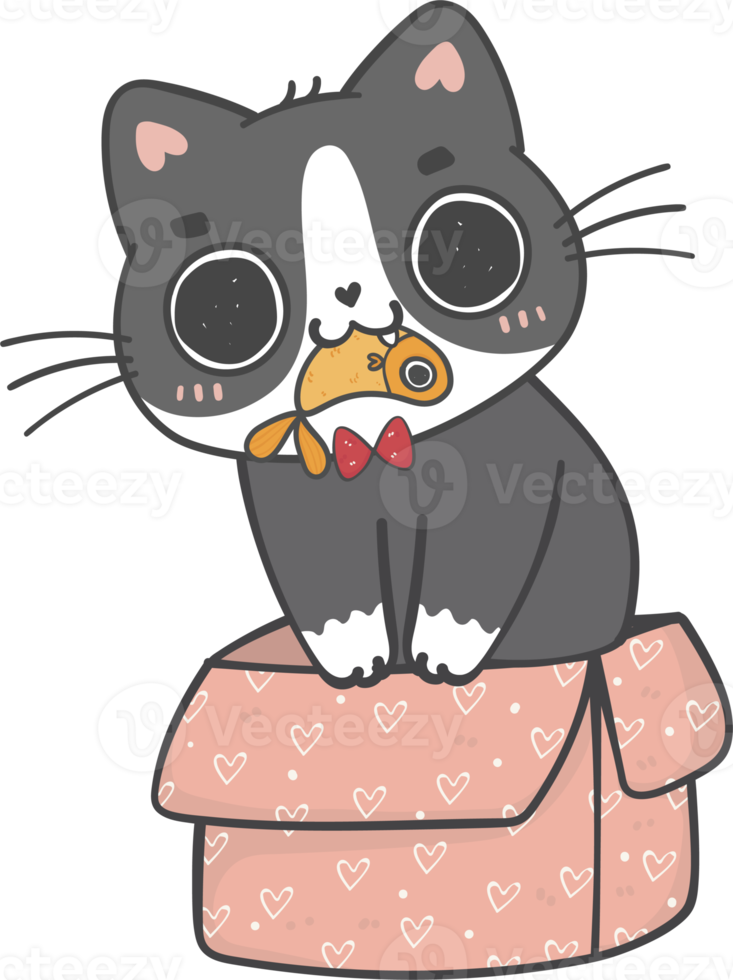 cute Christmas naughty kitten cat breeds with gift present box cartoon doodle hand drawing png