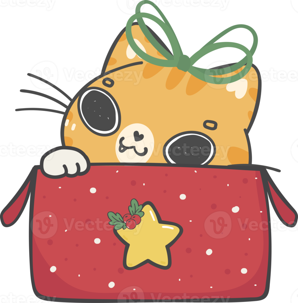 cute Christmas naughty kitten cat breeds with gift present box cartoon doodle hand drawing png