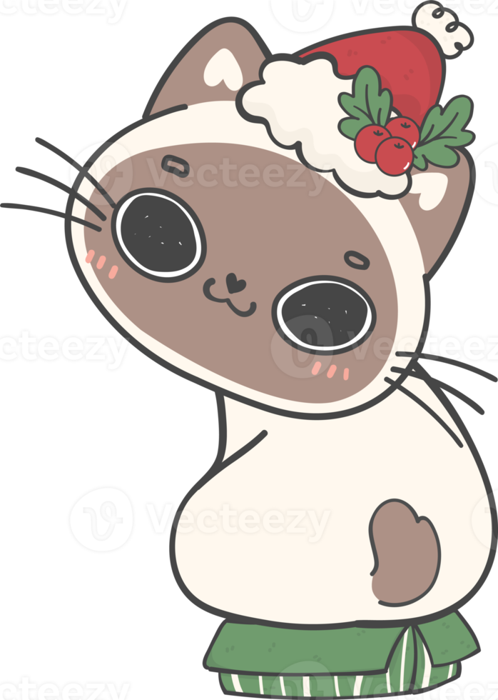 cute Christmas naughty kitten cat breeds with gift present box cartoon doodle hand drawing png