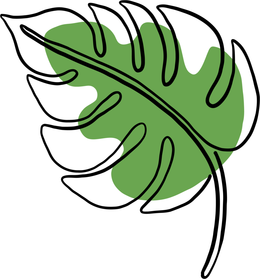 simplicity monstera leaf freehand continuous line drawing png