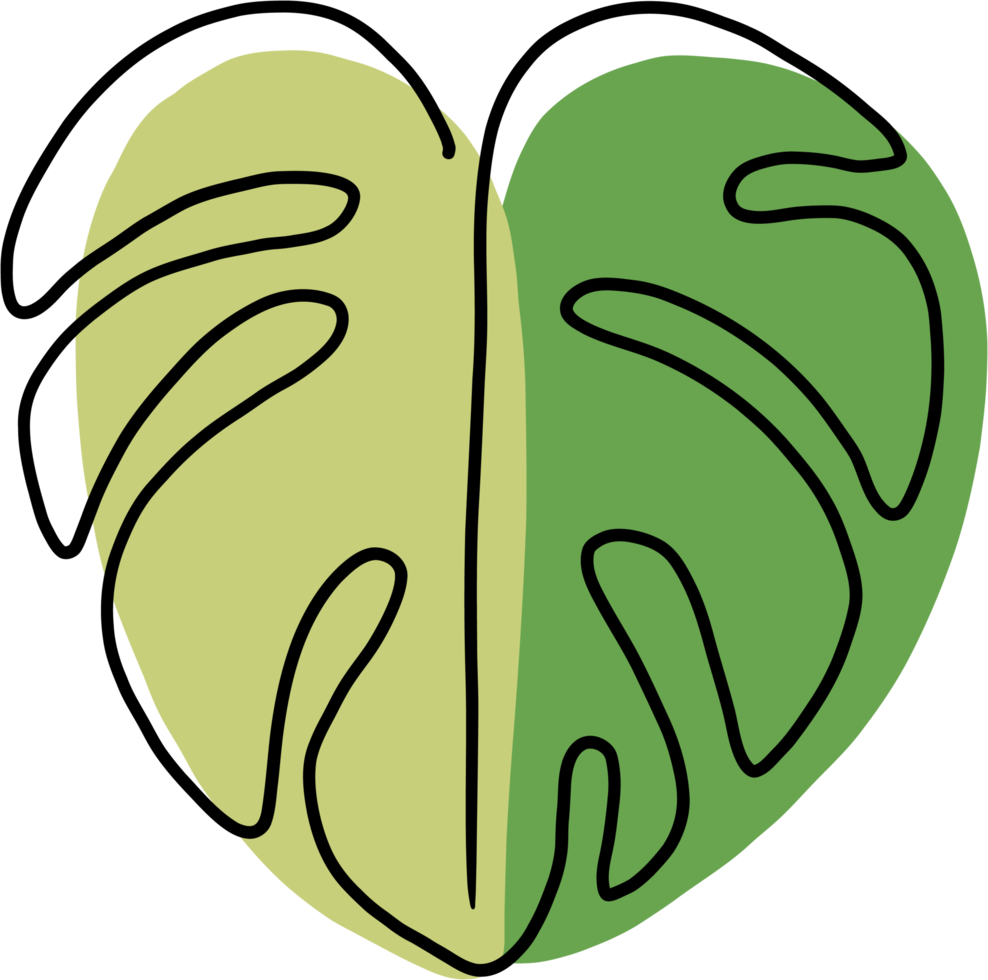 simplicity monstera leaf freehand continuous line drawing png