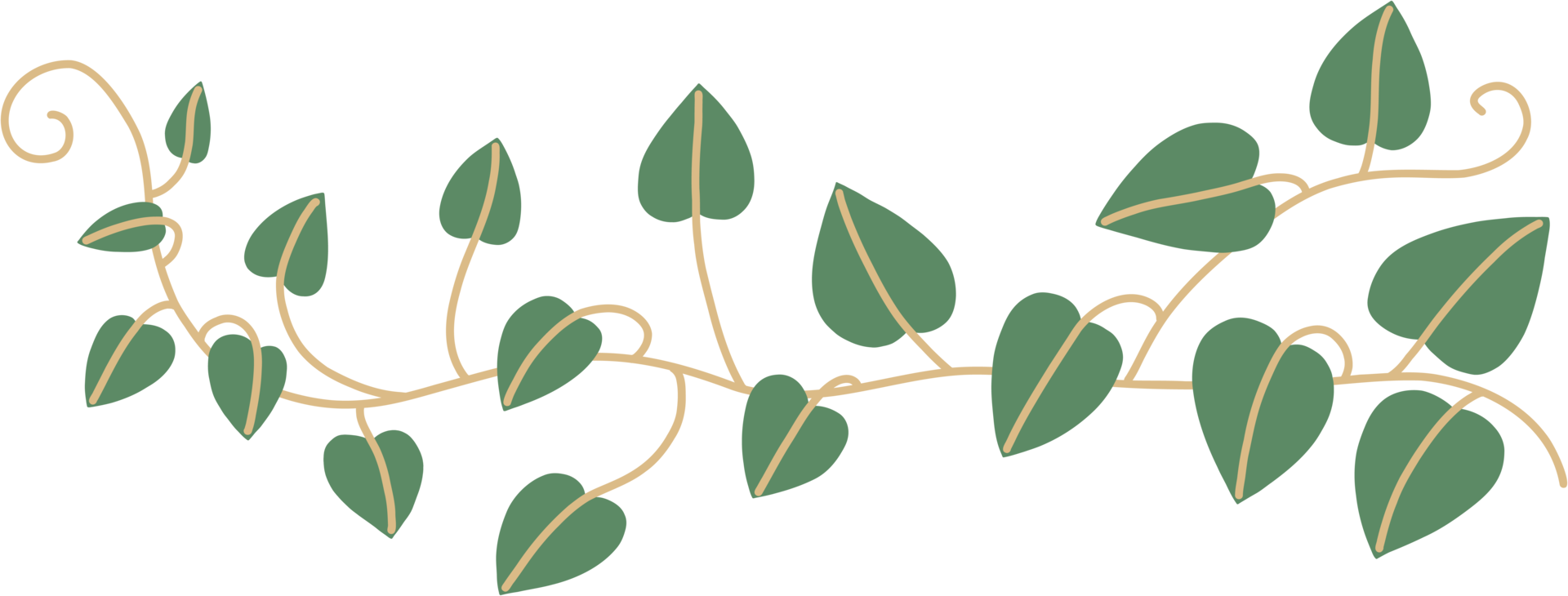 Simplicity ivy freehand drawing png