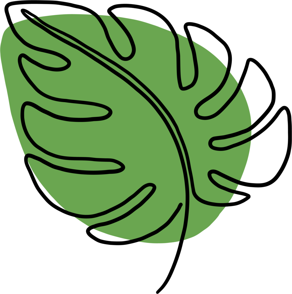 simplicity monstera leaf freehand continuous line drawing png