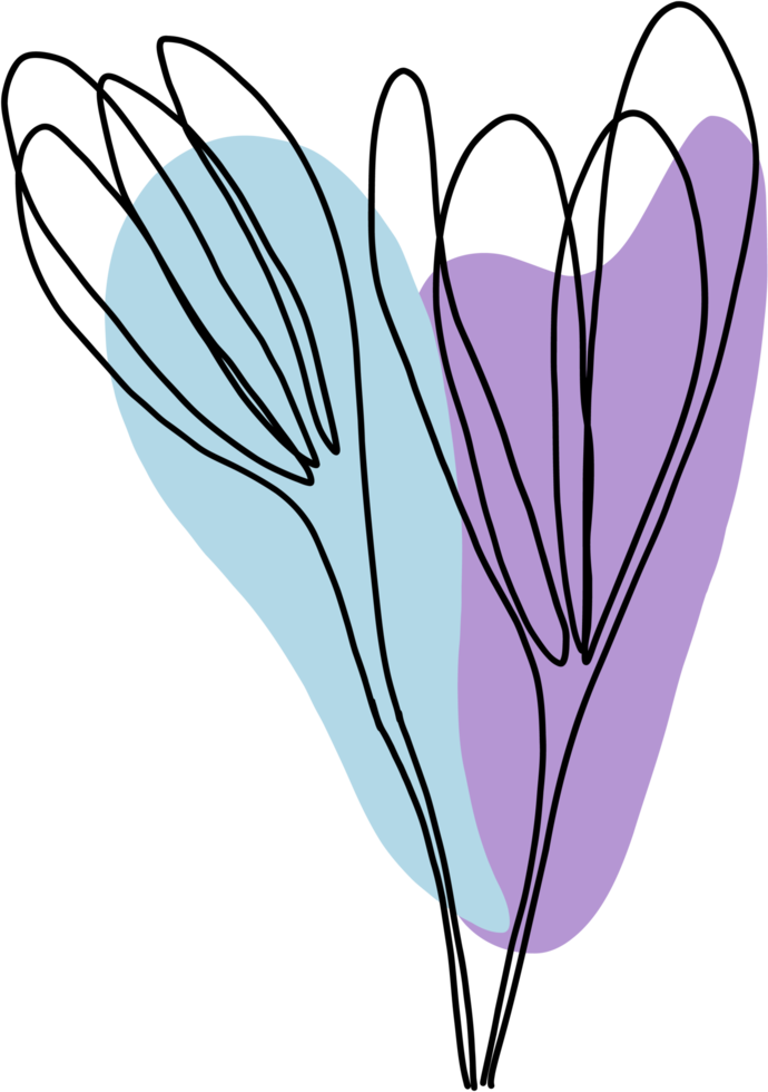 simplicity flower freehand continuous line drawing png