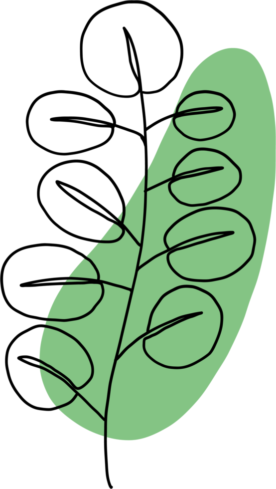 simplicity eucalyptus leaf freehand continuous line drawing flat design. png