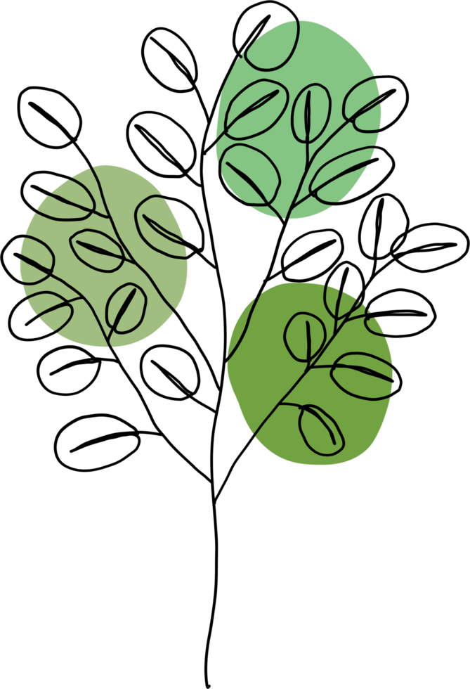 simplicity eucalyptus leaf freehand continuous line drawing flat design. png