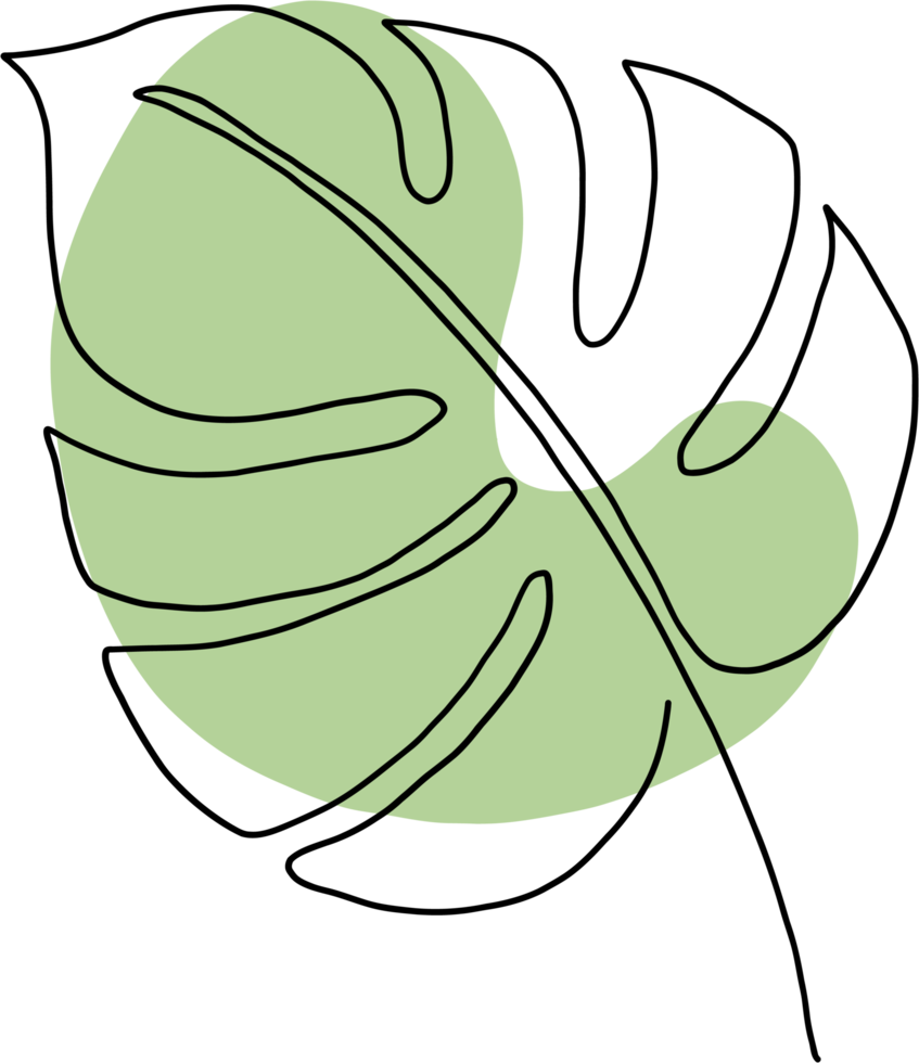 simplicity monstera leaf freehand continuous line drawing png