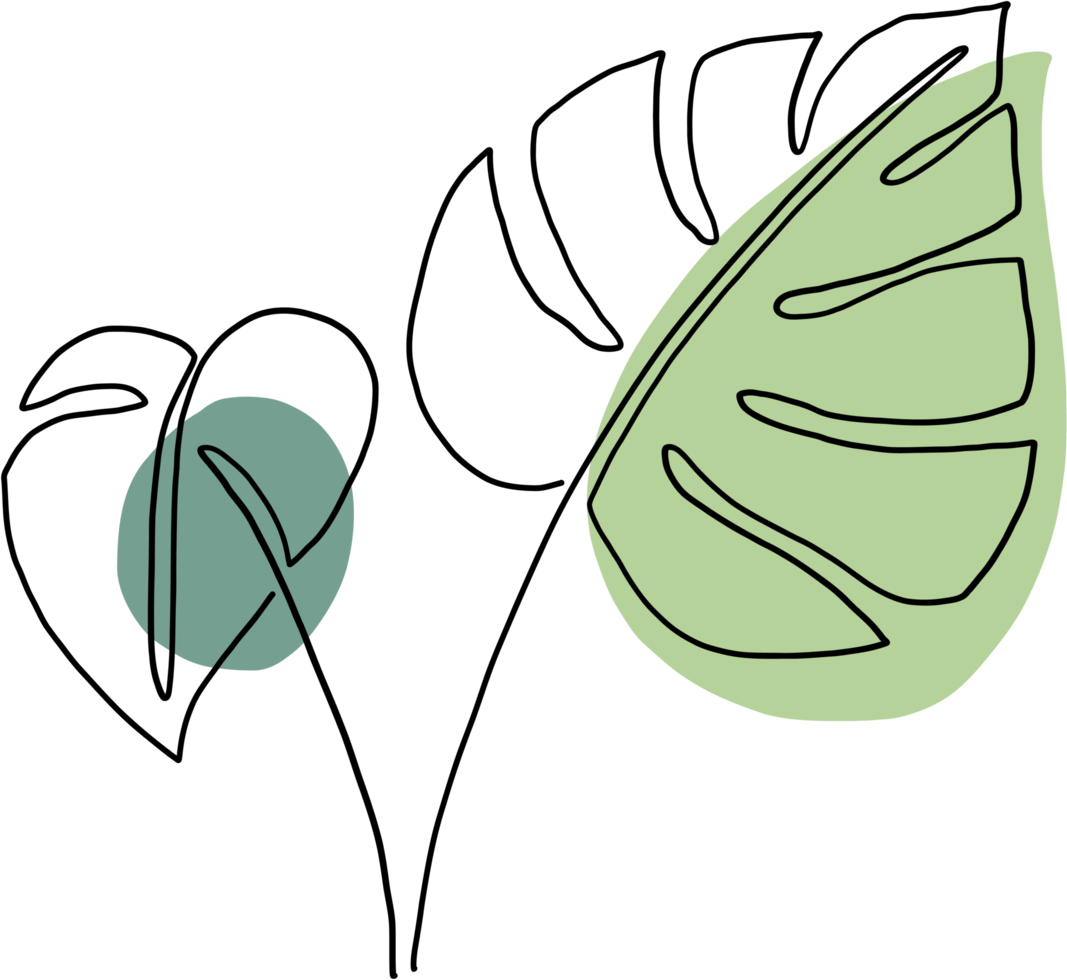 simplicity monstera leaf freehand continuous line drawing png