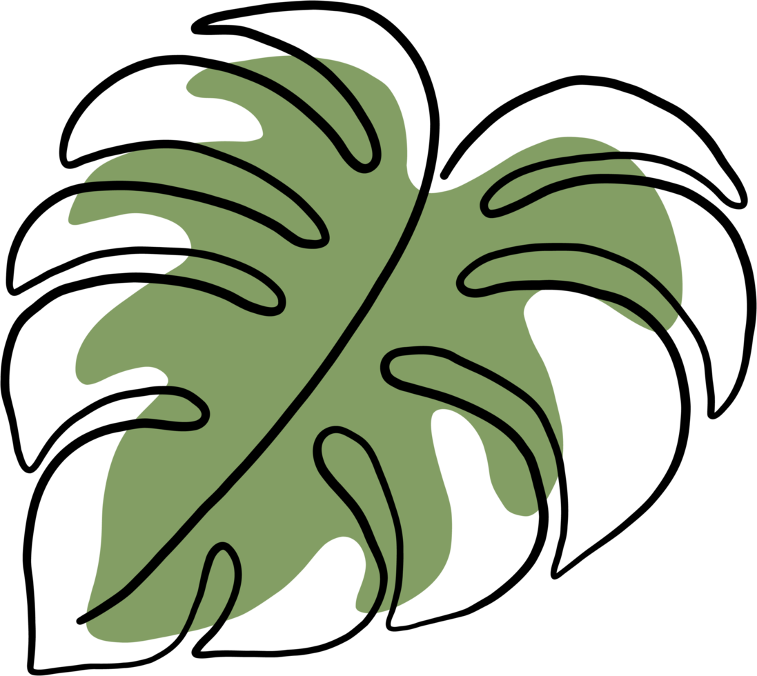 simplicity monstera leaf freehand continuous line drawing png