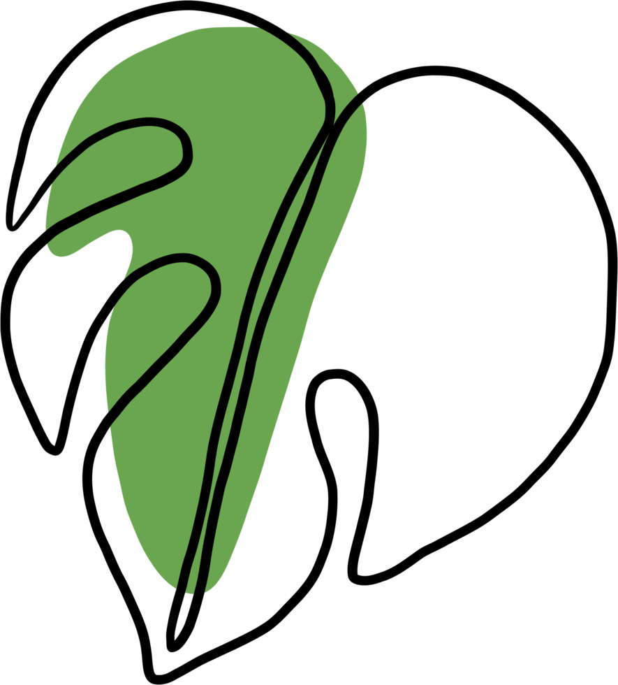 simplicity monstera leaf freehand continuous line drawing png