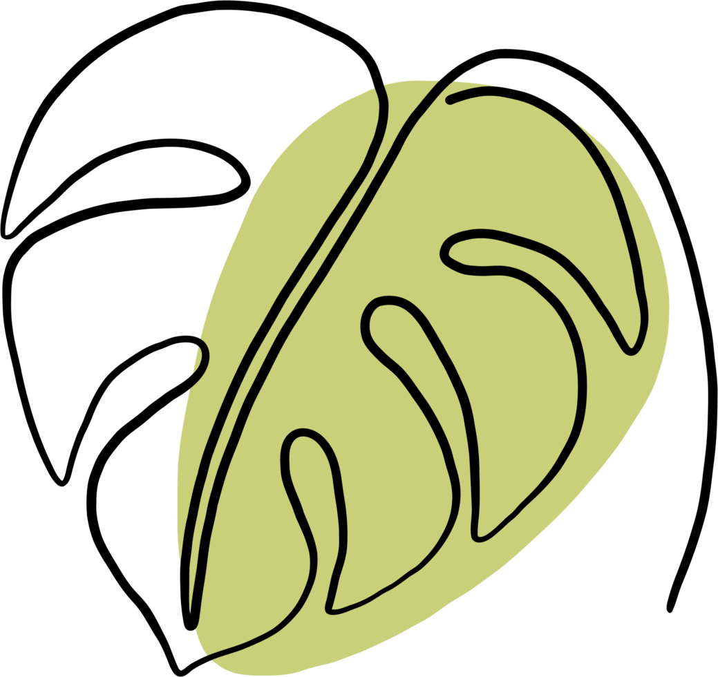simplicity monstera leaf freehand continuous line drawing png