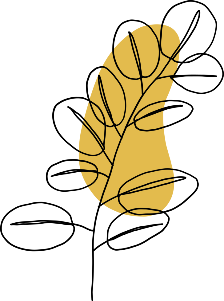 simplicity eucalyptus leaf freehand continuous line drawing flat design. png